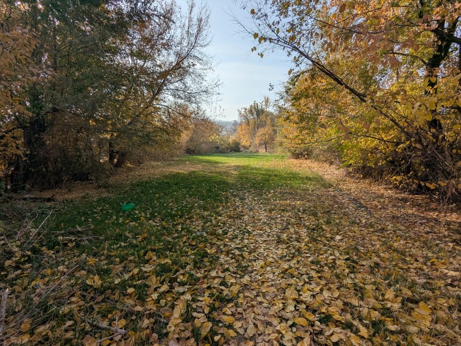 Участок ЛПХ 25 соток Орикти