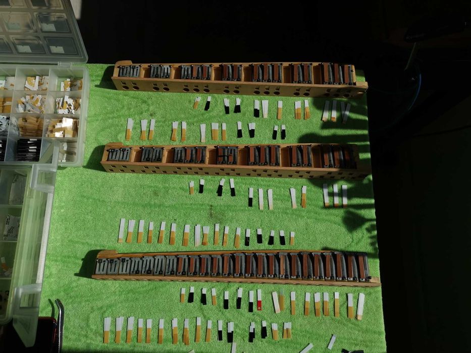 Ventile Hohner Verdi/Tango Weltmeister Etc..