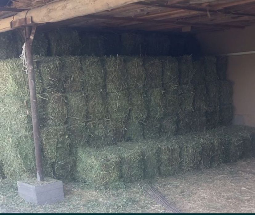 Beda va somon pres optom narxlarda