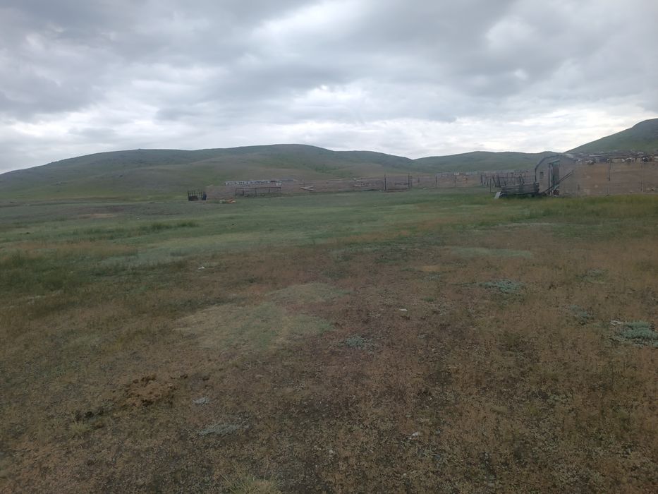 Зимовка, крестьянское хозяйство