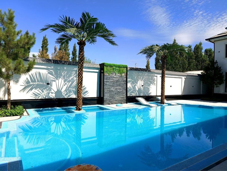 Суний пальма — премиум сифат. Республика бўйича етказиб бериш