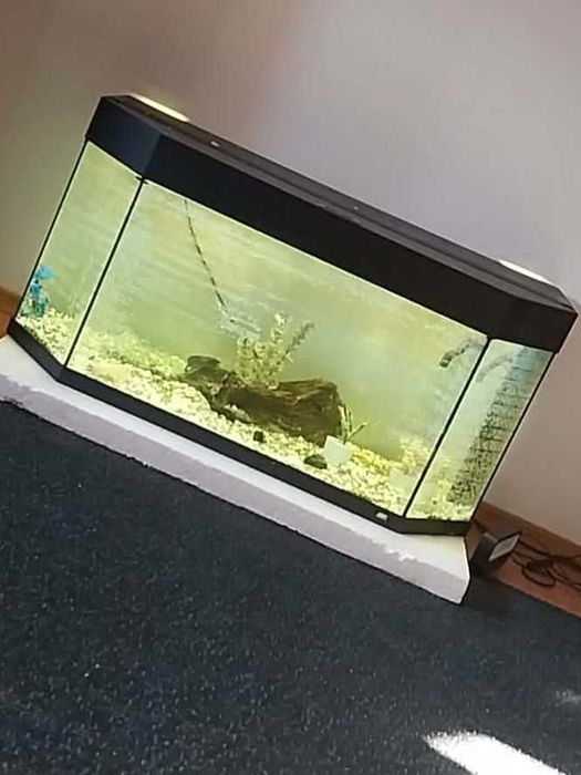 Acvariu Juwel 92 cm