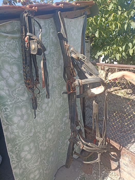 Vând ham din piele și căpățel cu muștuc
