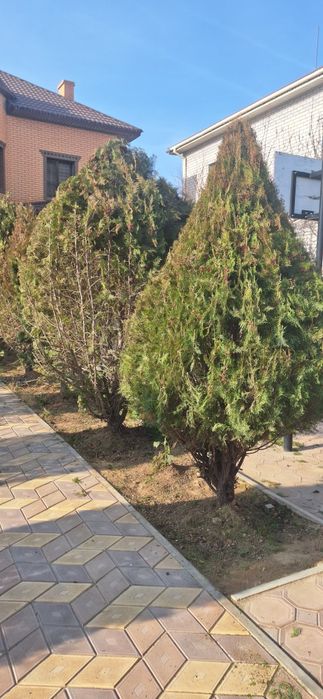 Садовник-озеленитель