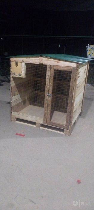 Kabutar qafas sotiladi
