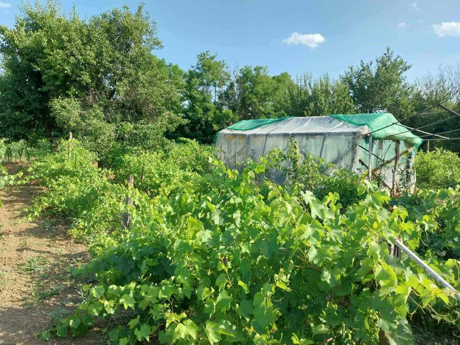 Къща в с. Смилец