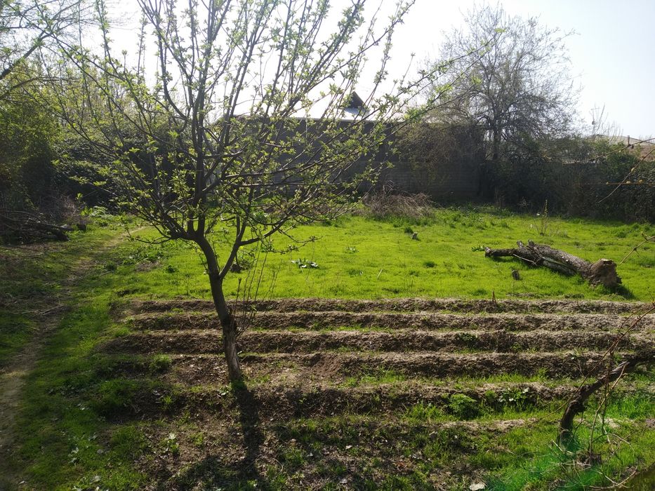 Продам или Обмен участ 17,5  сот. в Ийк-ота.