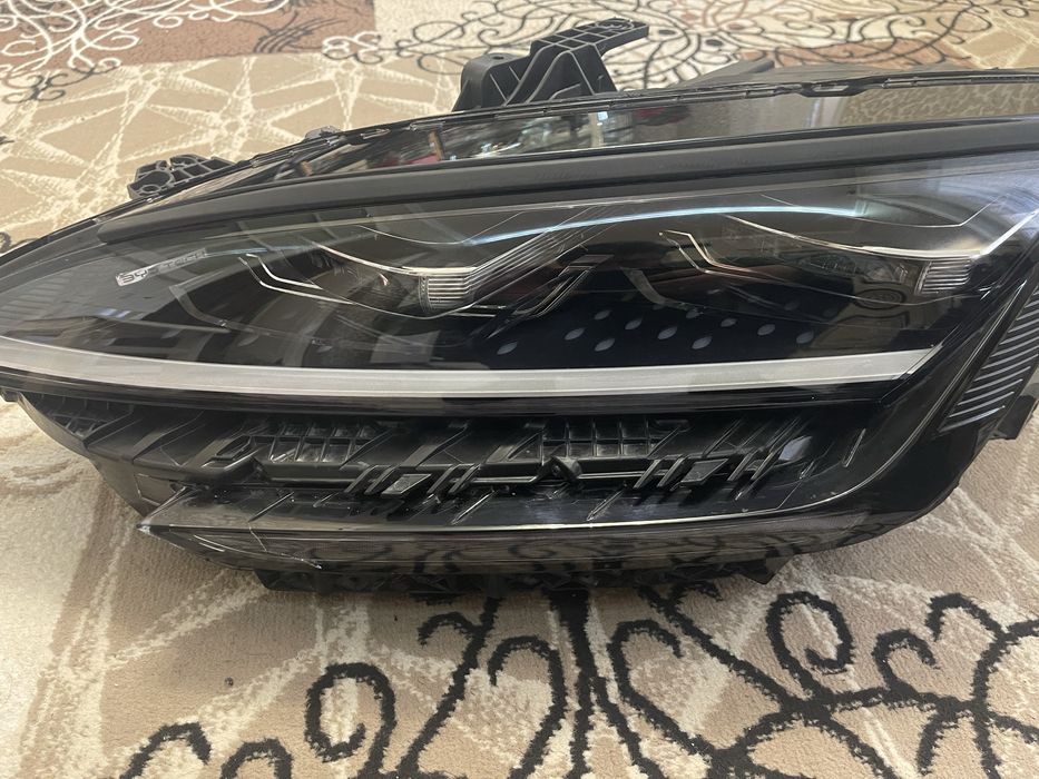 Byd chimpion oldi fara