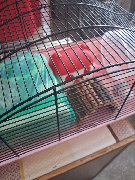Căsuța pentru hamsteri