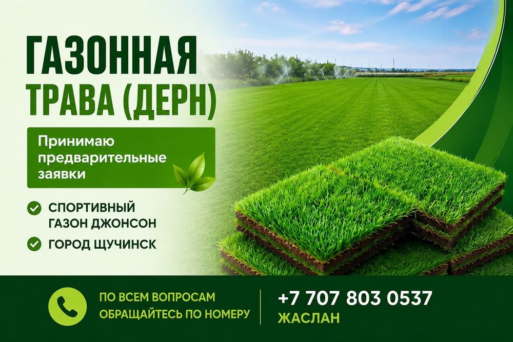 Рулонный газон. Дёрн.