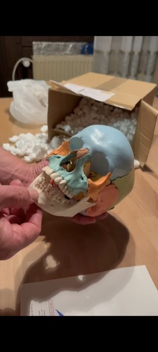 Приём  доктора- остеопата