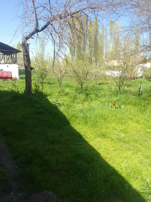 Yer sotiladi 5 sotik