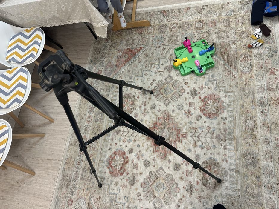 шататив в хорошм состаяни