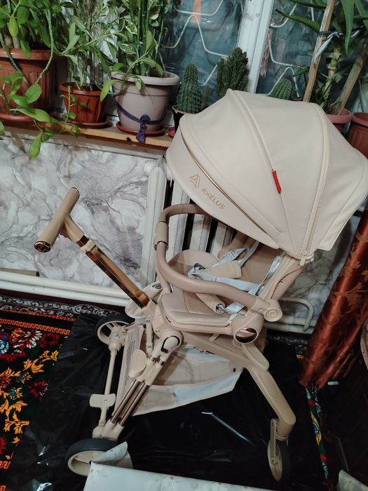 Kalaska ideyal holatda