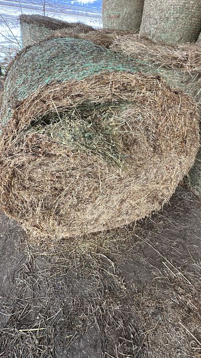 Baloți de lucernă rotunzi