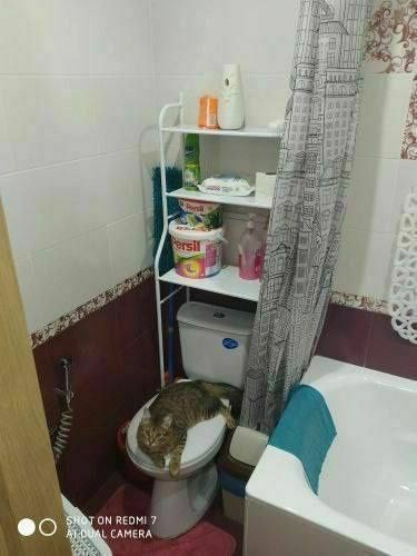 Органайзер полка для унитаза