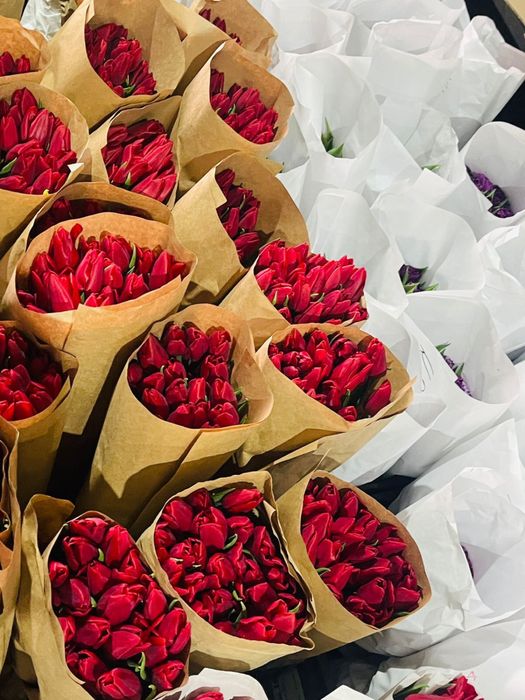 Тюльпан оптом 360тг