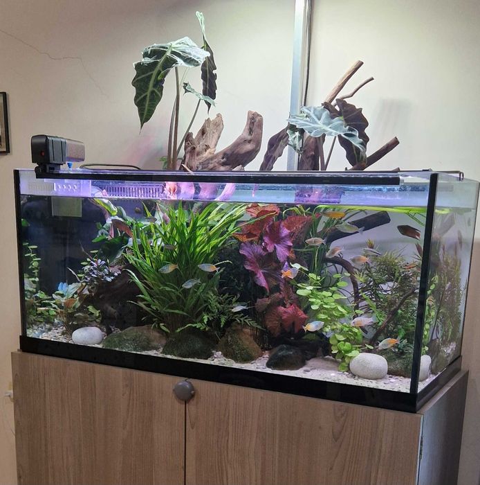 Поддръжка и изработка на аквариуми  Аква Кеър