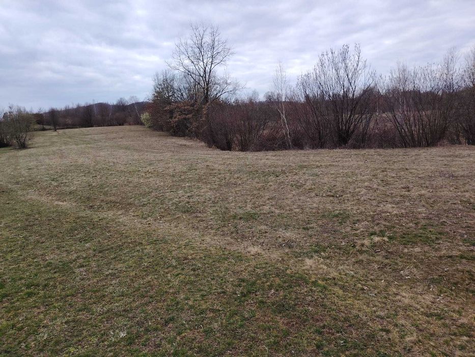 Vanzare Teren  Extravilan Sinca Noua