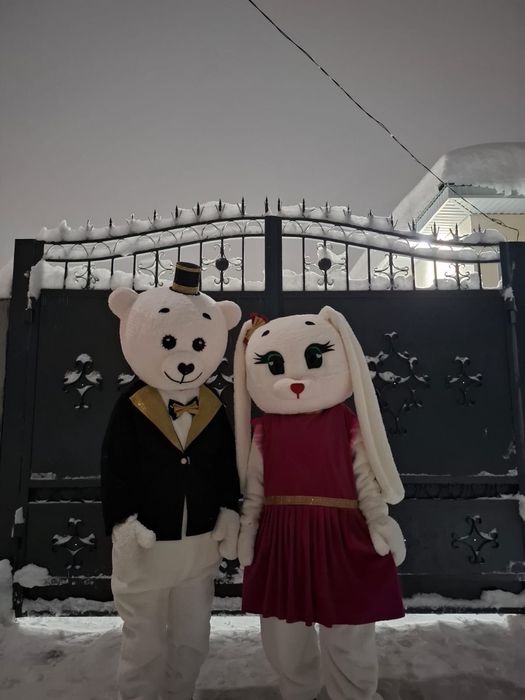 Аниматор тараз мишка медведь