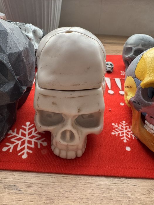 Коллекция черепов