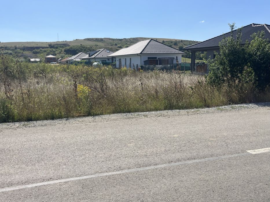 Teren Zăvoaie Bistrița