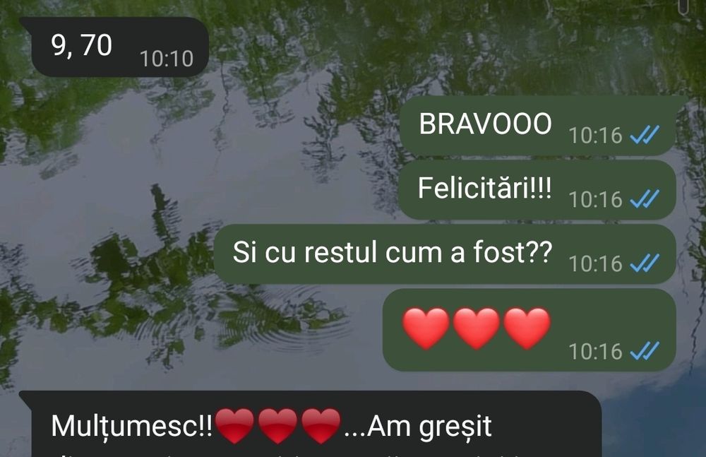 Meditatii geografie BAC/65 lei