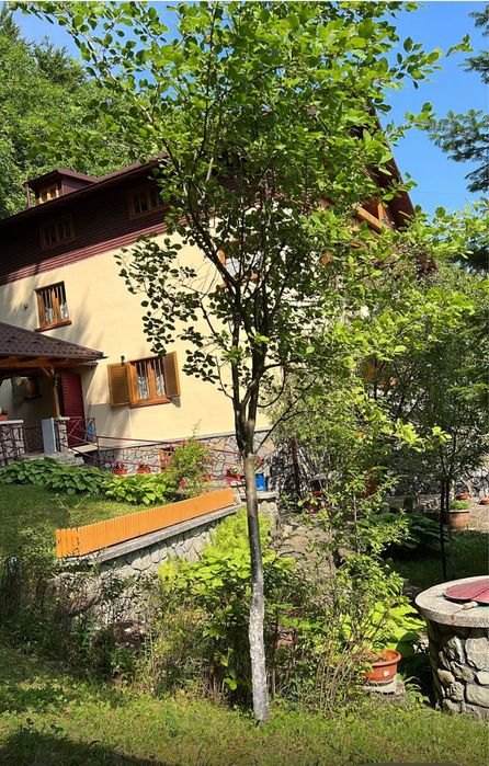 Vand Casa Valea Doftanei