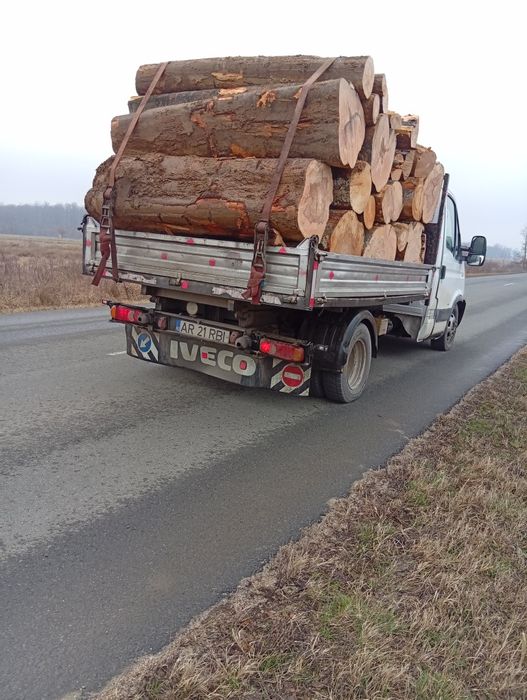 Lemne de foc fag esență tare