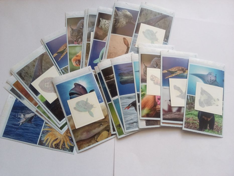 Билла стикери 64 броя + 11 татуировки