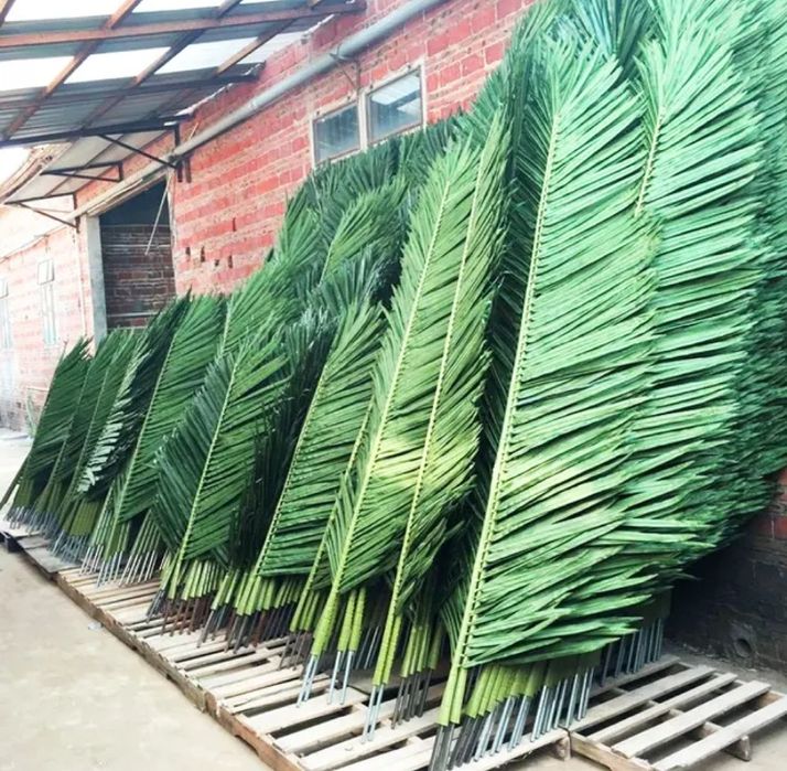 Palma daraxti barglari sotiladi xar xil razmerda