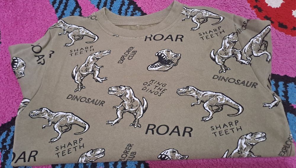 Lot copii bluze dinozauri