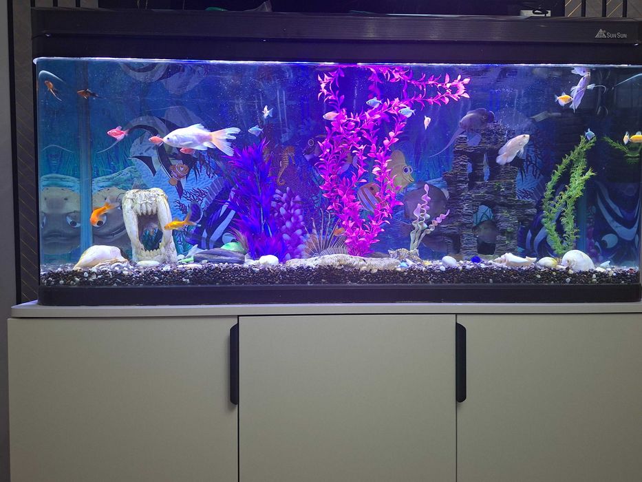 Завадской Аквариумы рыбками