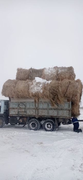 Продам сено луговое
