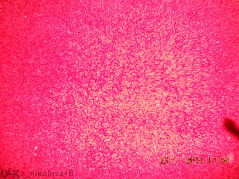 нов китеник-пътека