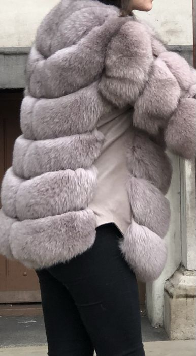 Haina de vulpe polara