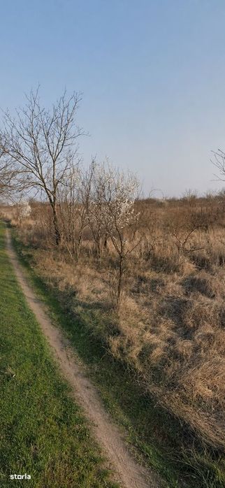 Teren Intravilan 500 mp/ Ideal de Investitie/ Zona Strada Apusului