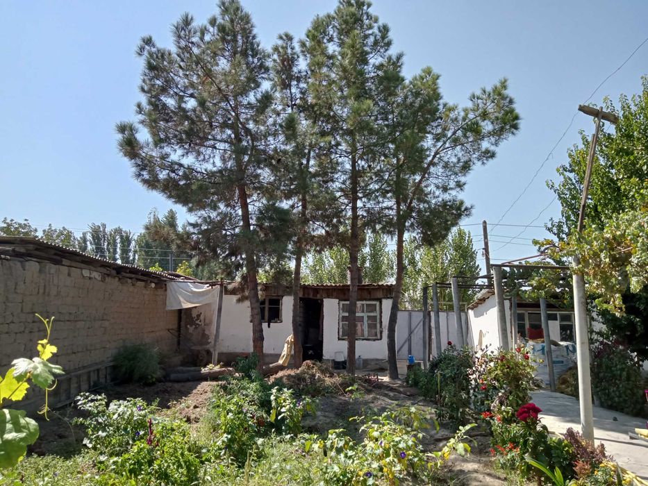 Yu  Дом 5 комнат, участок 6,8 соток, Йик ота