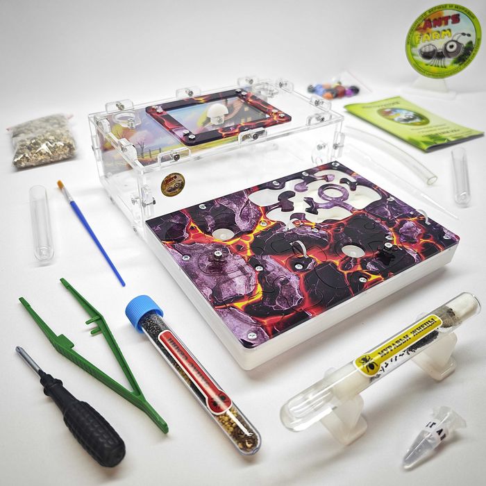 Муравьиная ферма - Муравьи жнецы ||| ГИПСОВЫЙ Формикарий "ADVANCED"