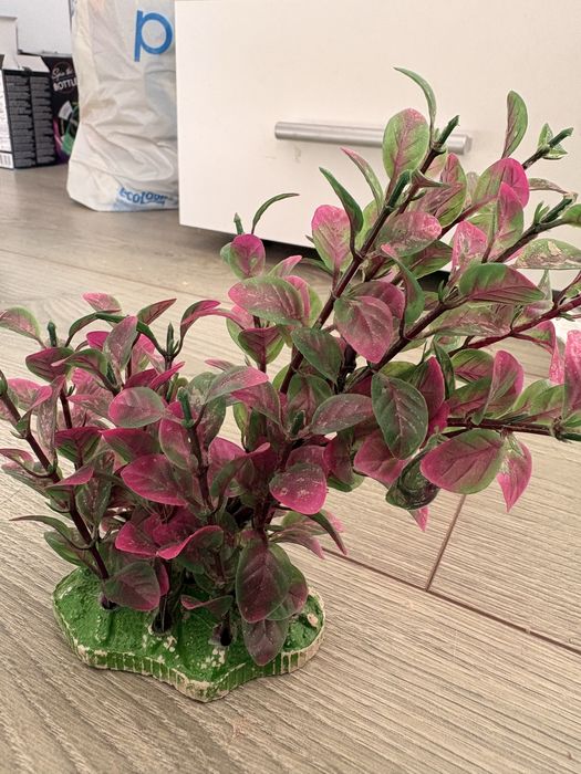 decor pentru acvariu