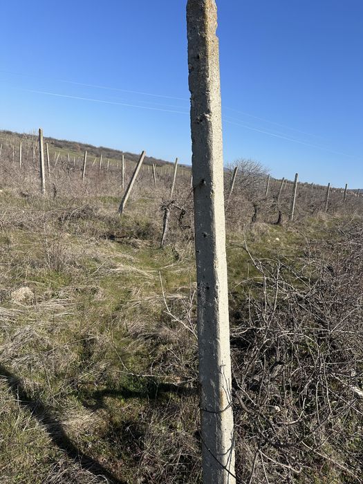 Циментови колове