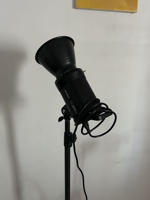 Godox SL100D cu stand si softbox