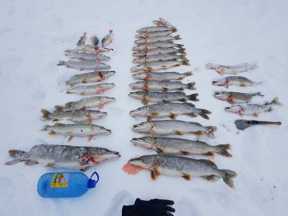 Рыбалка,выезд на рыбалку