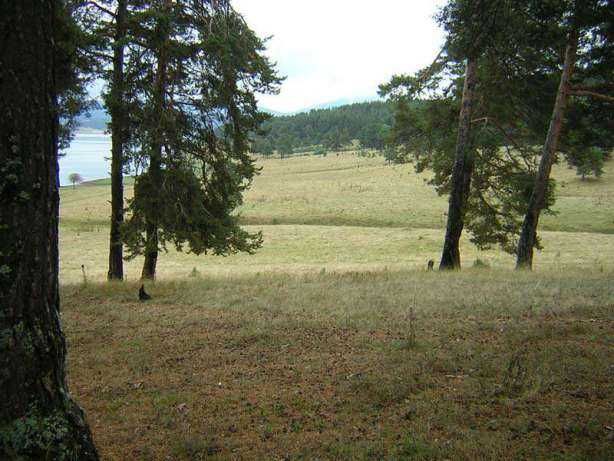 Язовир Батак/м. Костандовски Алчак/Земеделска земя/7402 кв.м