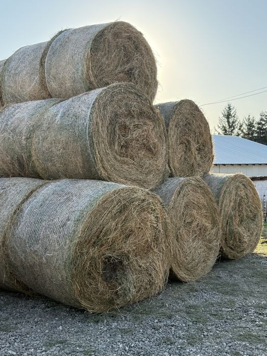 Baloti rotunzi mari lucerna