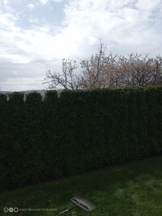 Поддръжка на зелени площи