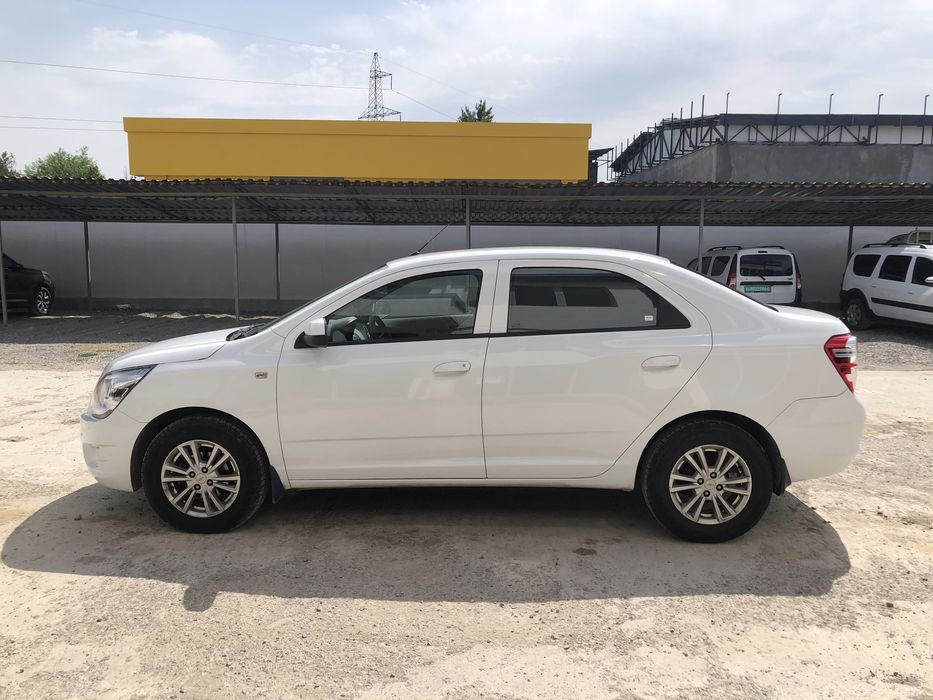 Srochno kobalt 2023