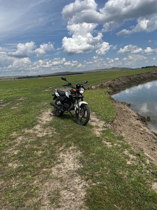 Рейсер Тигр 150 продам