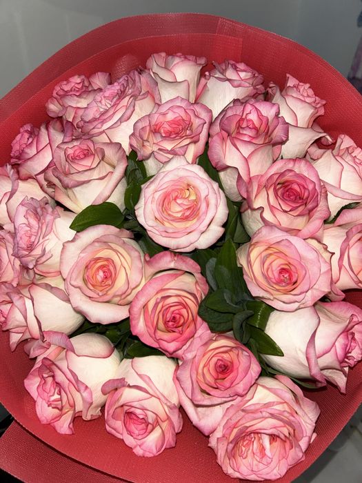 Красивый букет роз свежий отличный вариант для падорков звоните