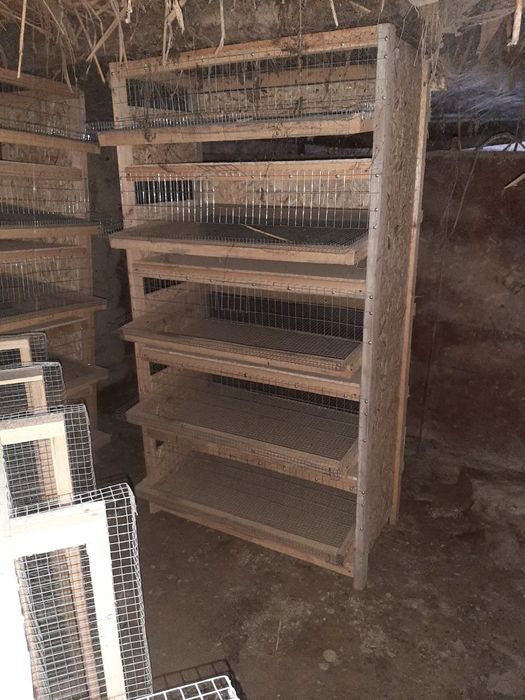 Бөдене асырайтын кепе